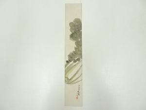 堀江春霽筆　青菜　肉筆短冊